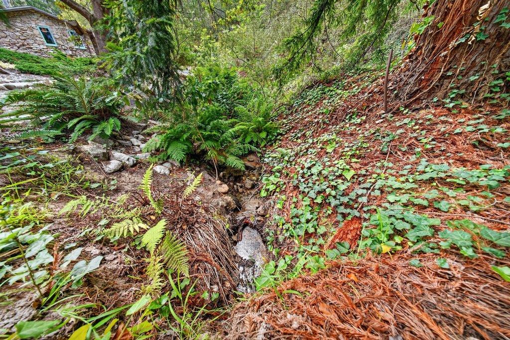 123 Fern Canyon RD