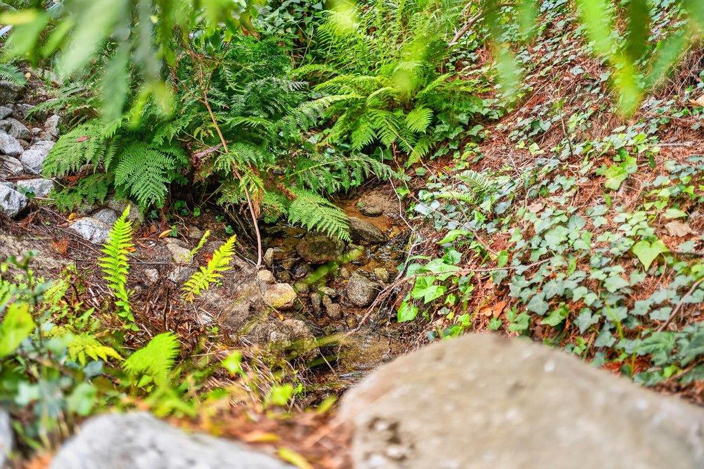 123 Fern Canyon RD