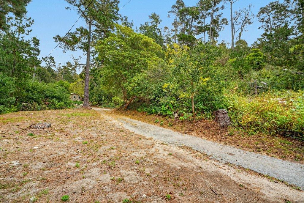 123 Fern Canyon RD