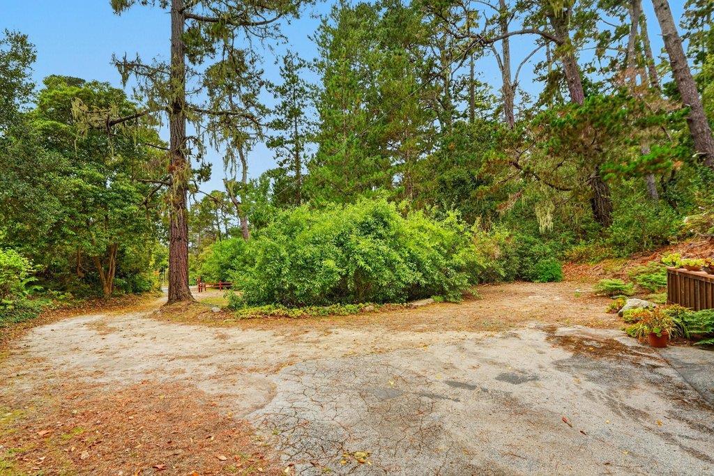 123 Fern Canyon RD