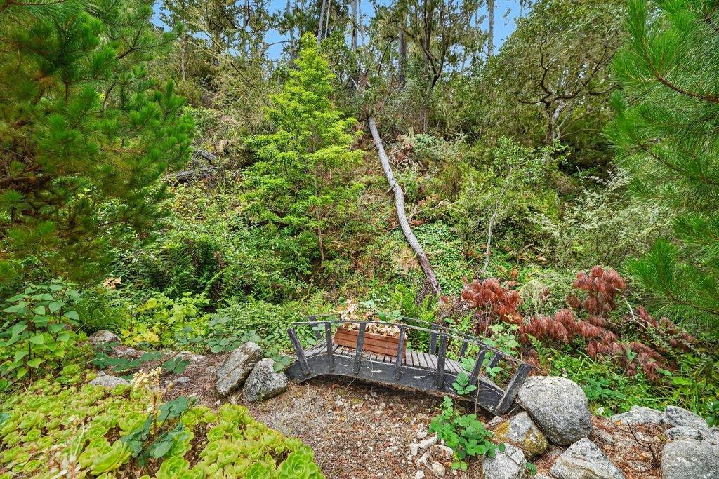 123 Fern Canyon RD
