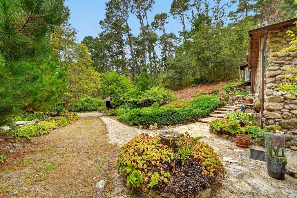 123 Fern Canyon RD
