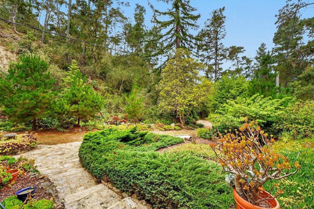 123 Fern Canyon RD