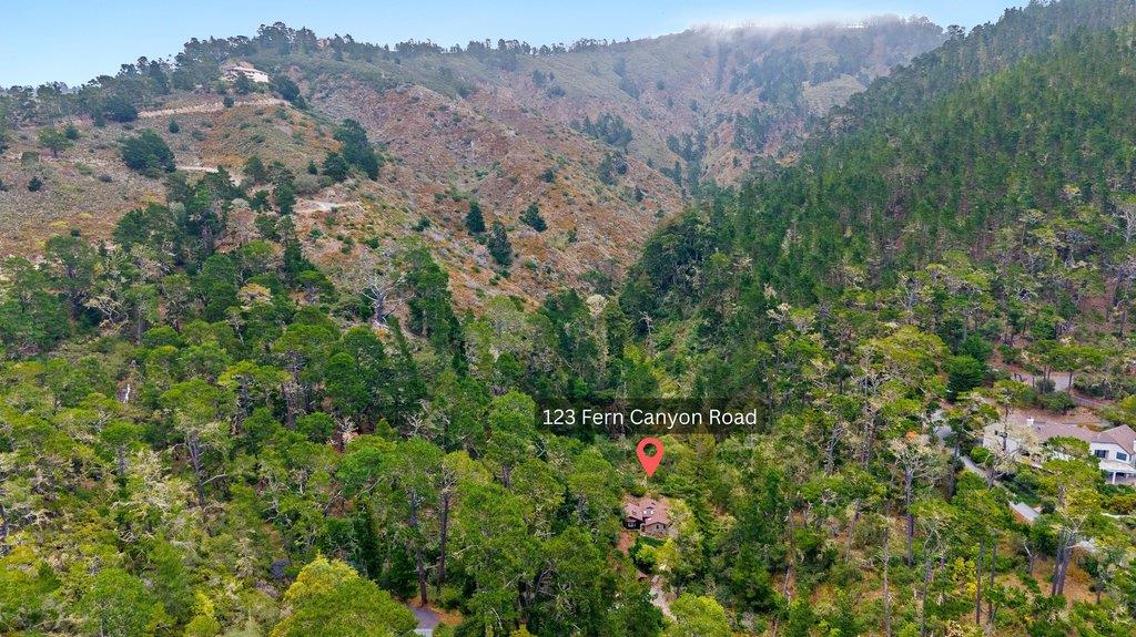 123 Fern Canyon RD