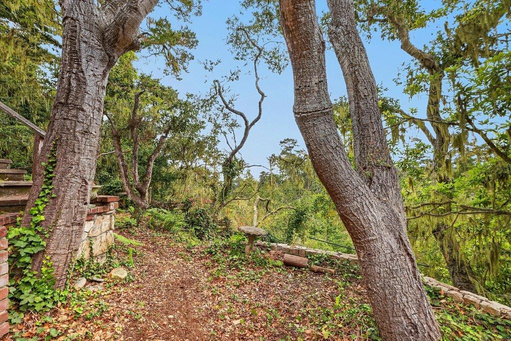 124 Cypress