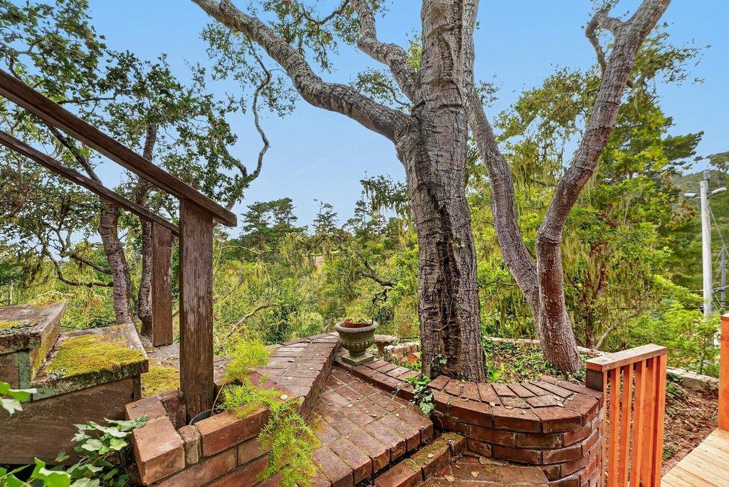 124 Cypress