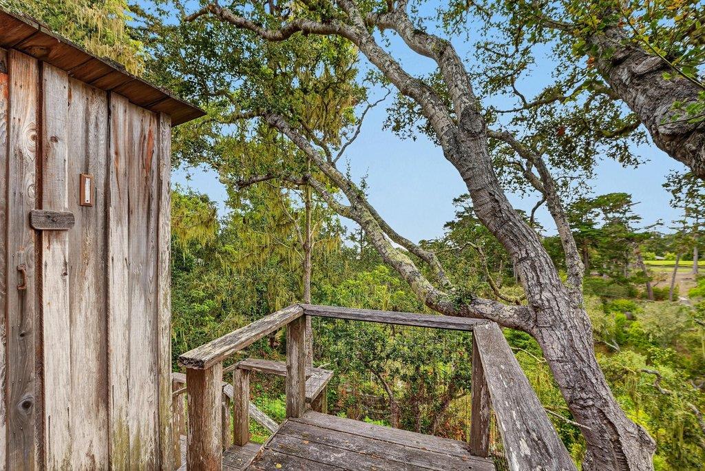 124 Cypress