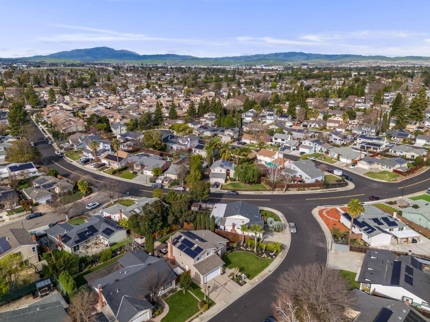 3641 Shenandoah Court