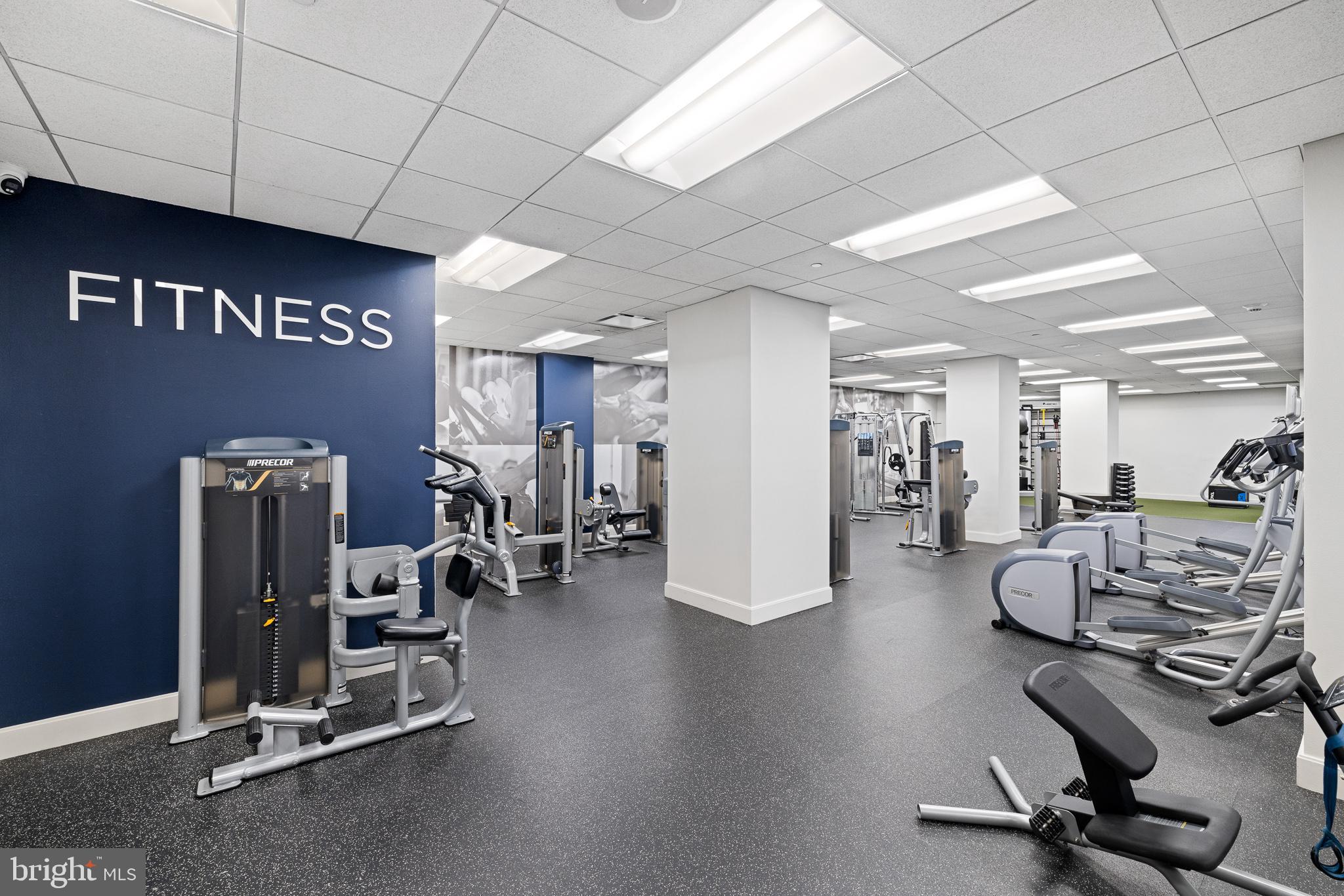 834 Chestnut Street #1224