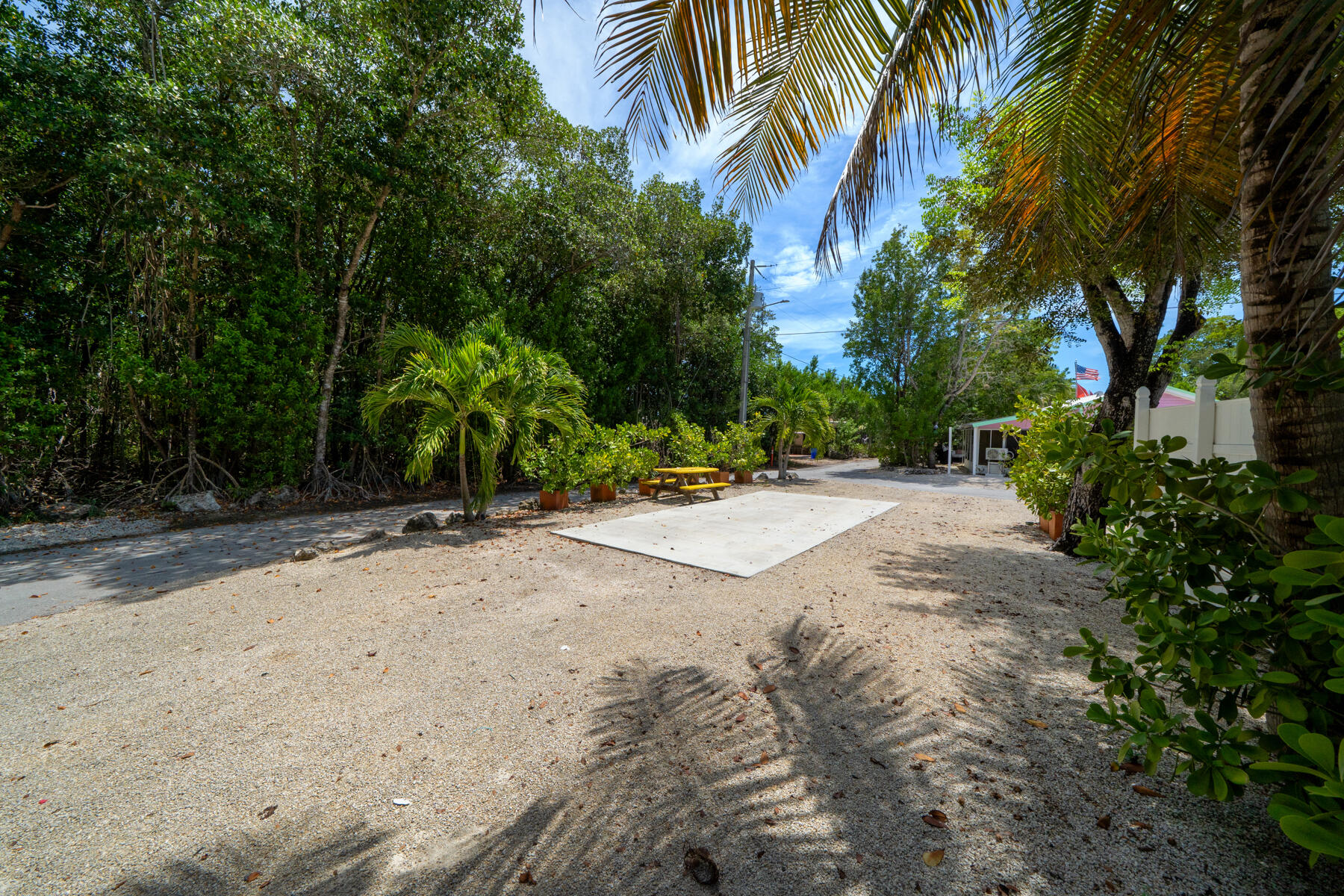 Tropical yard with a concrete pad, yellow picnic table, palms, and dense greenery.