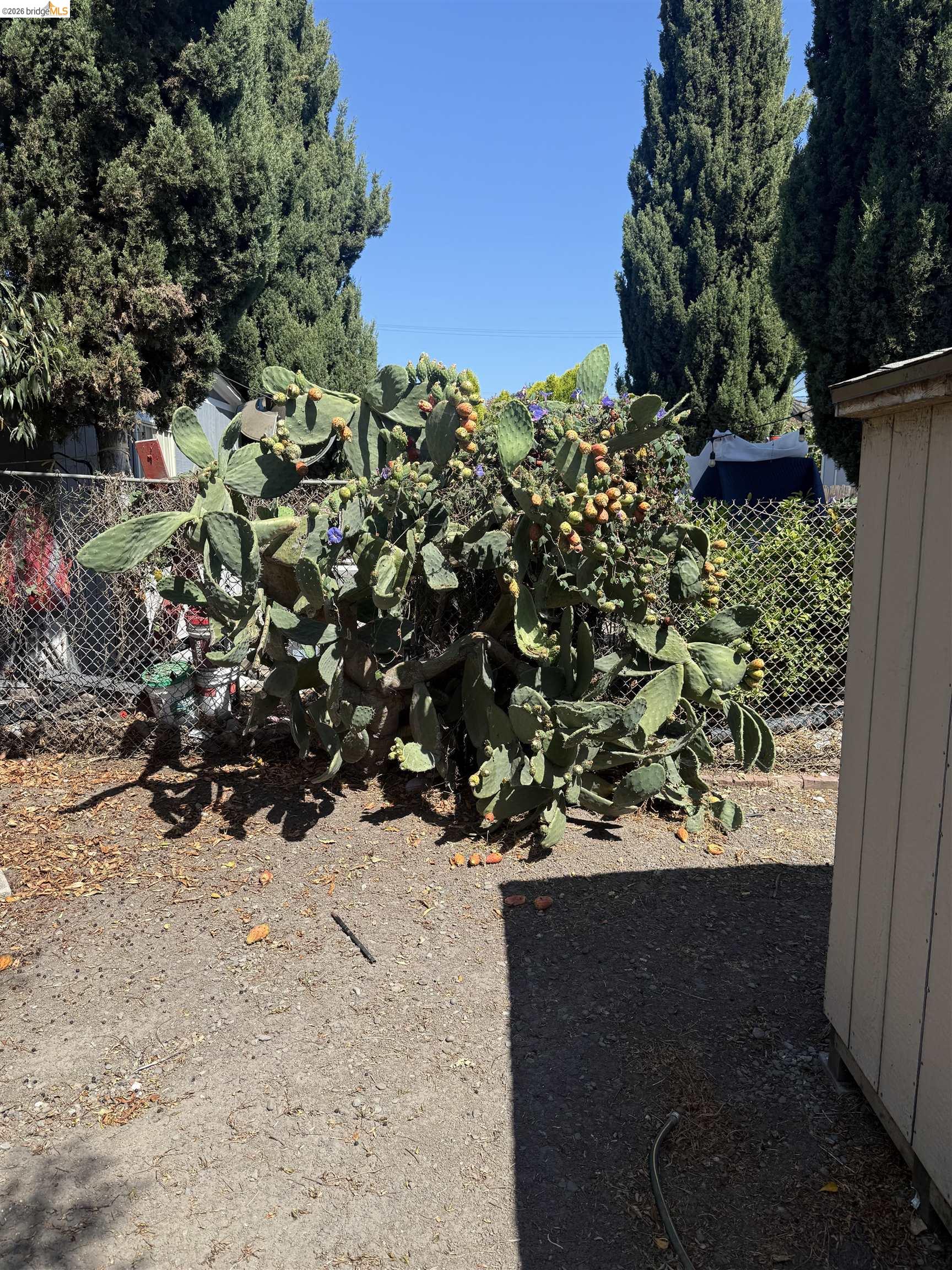 2111 100Th Ave