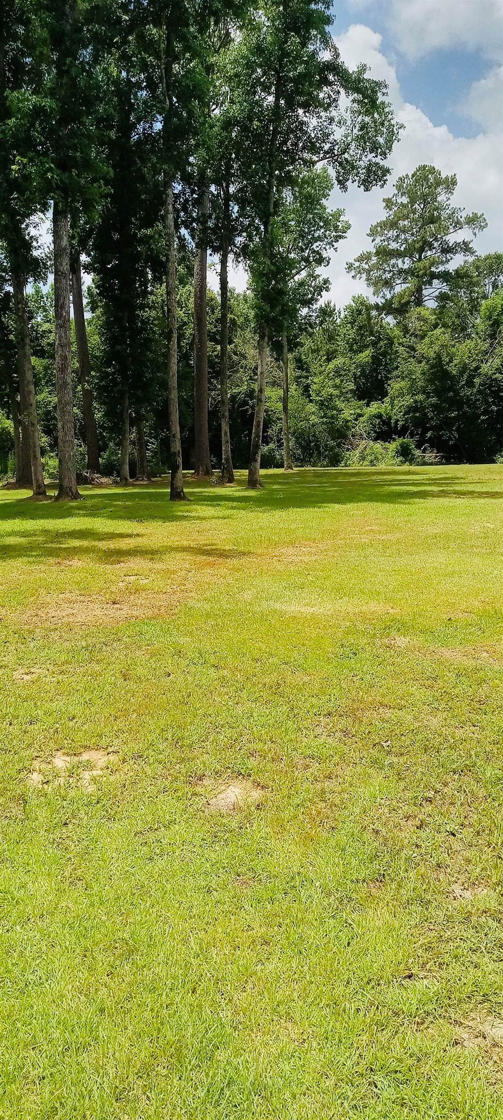 8963 Lonesome Pine Ln