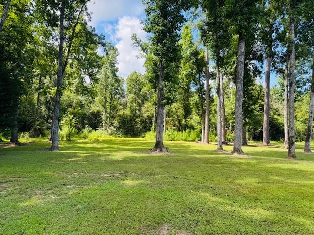 8963 Lonesome Pine Ln