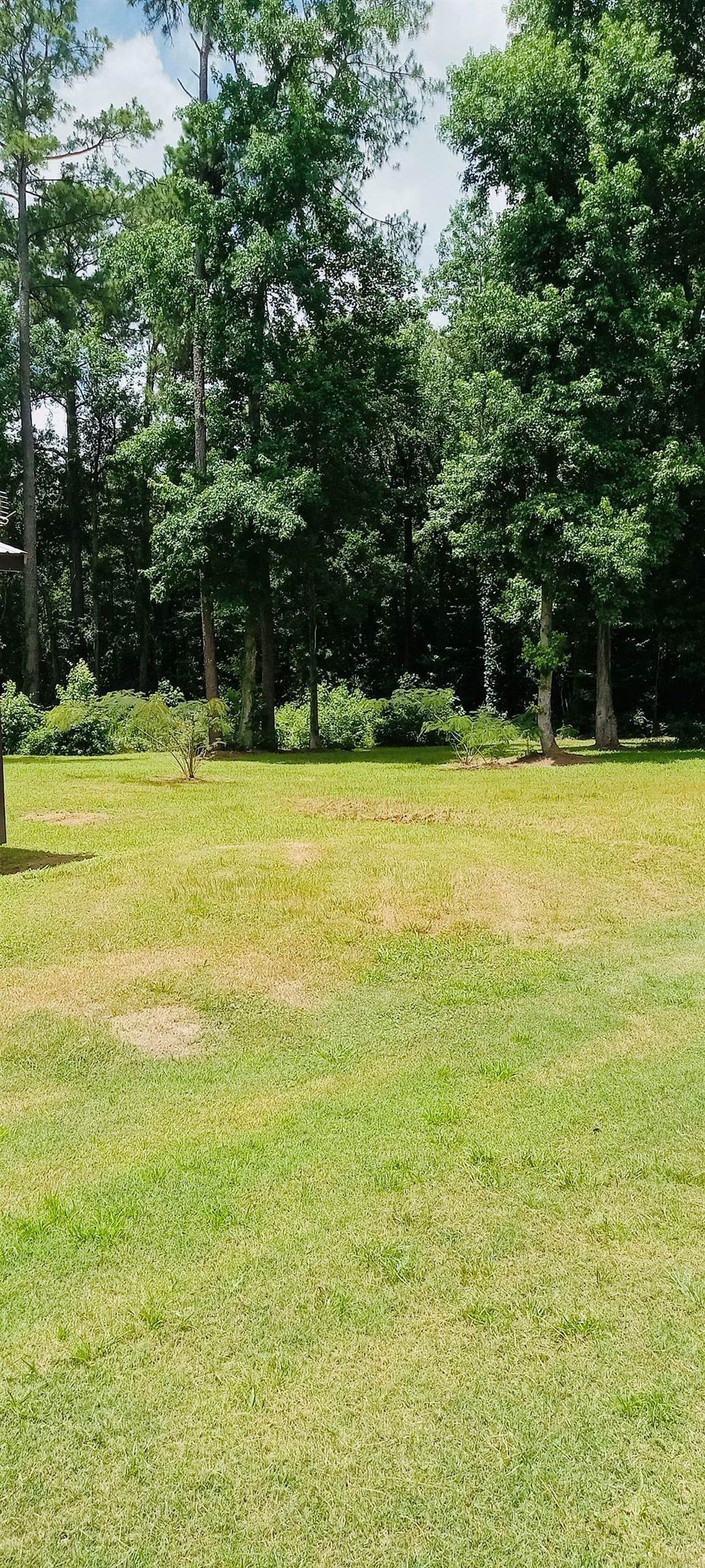 8963 Lonesome Pine Ln