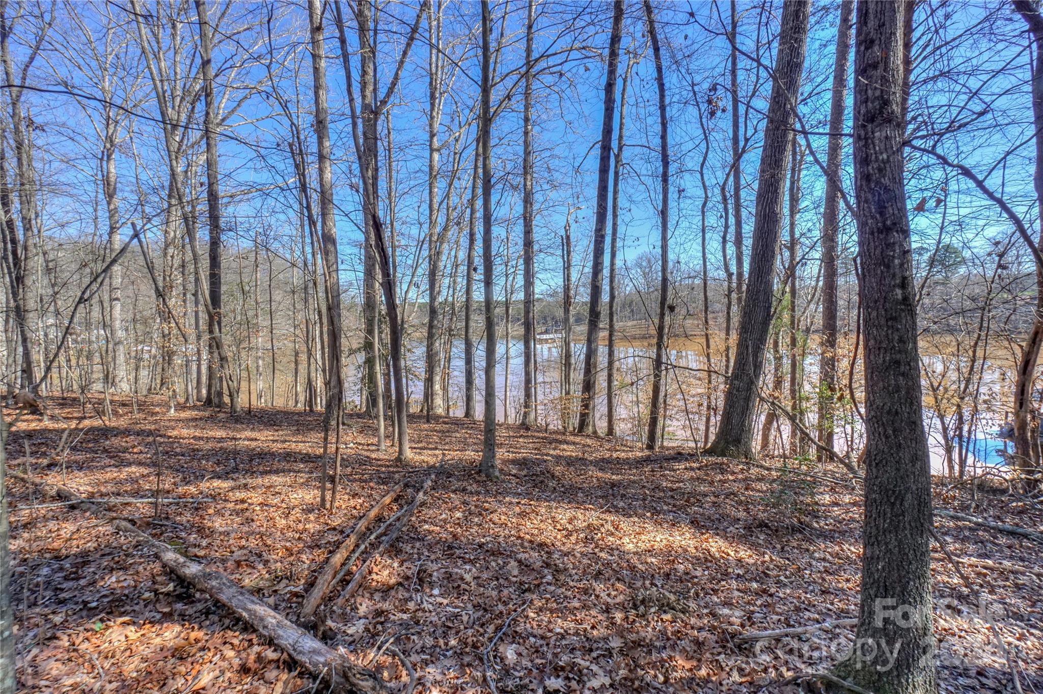 7816 Long Bay Parkway