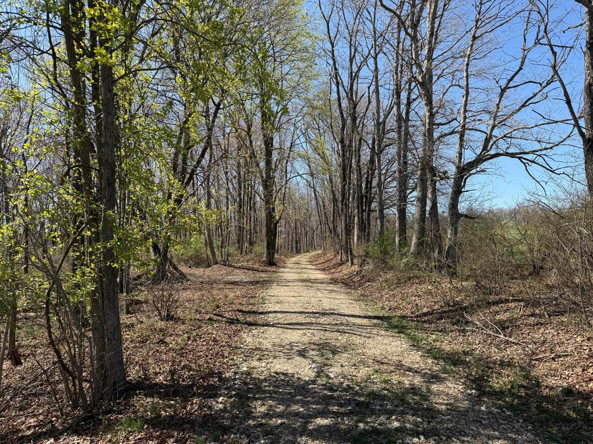 Lot 5 OLD B AND O RD