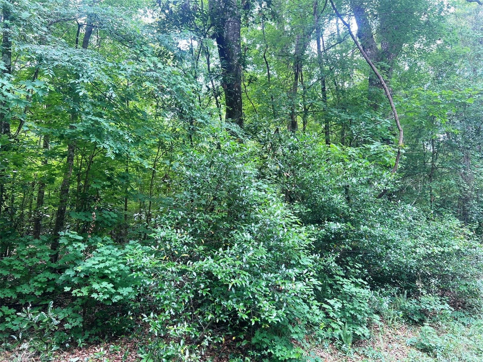 542 SW COUNTY ROAD 138