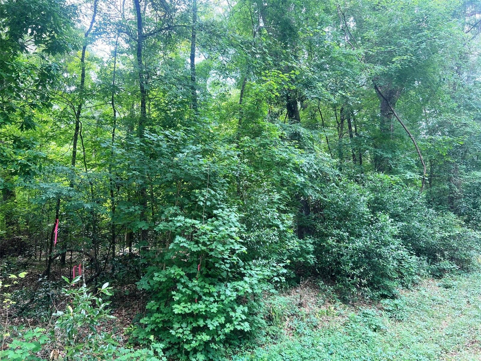 542 SW COUNTY ROAD 138