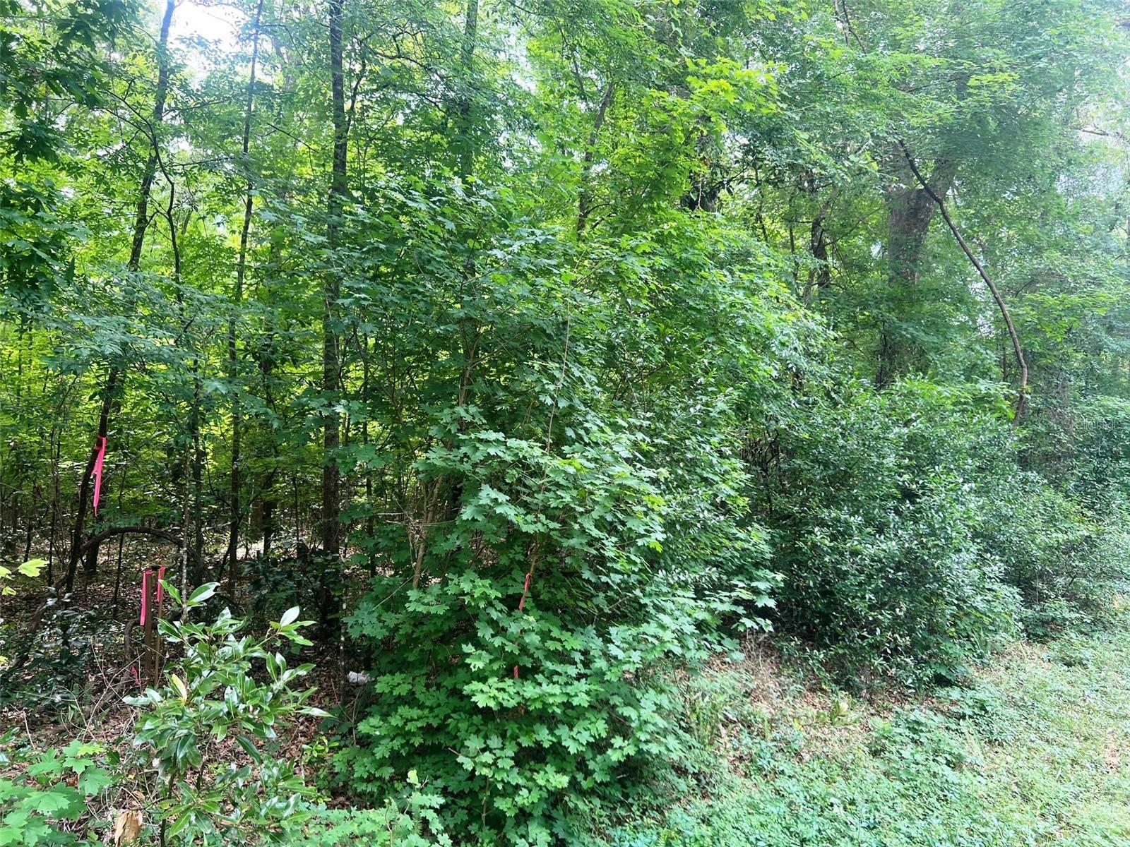 542 SW COUNTY ROAD 138