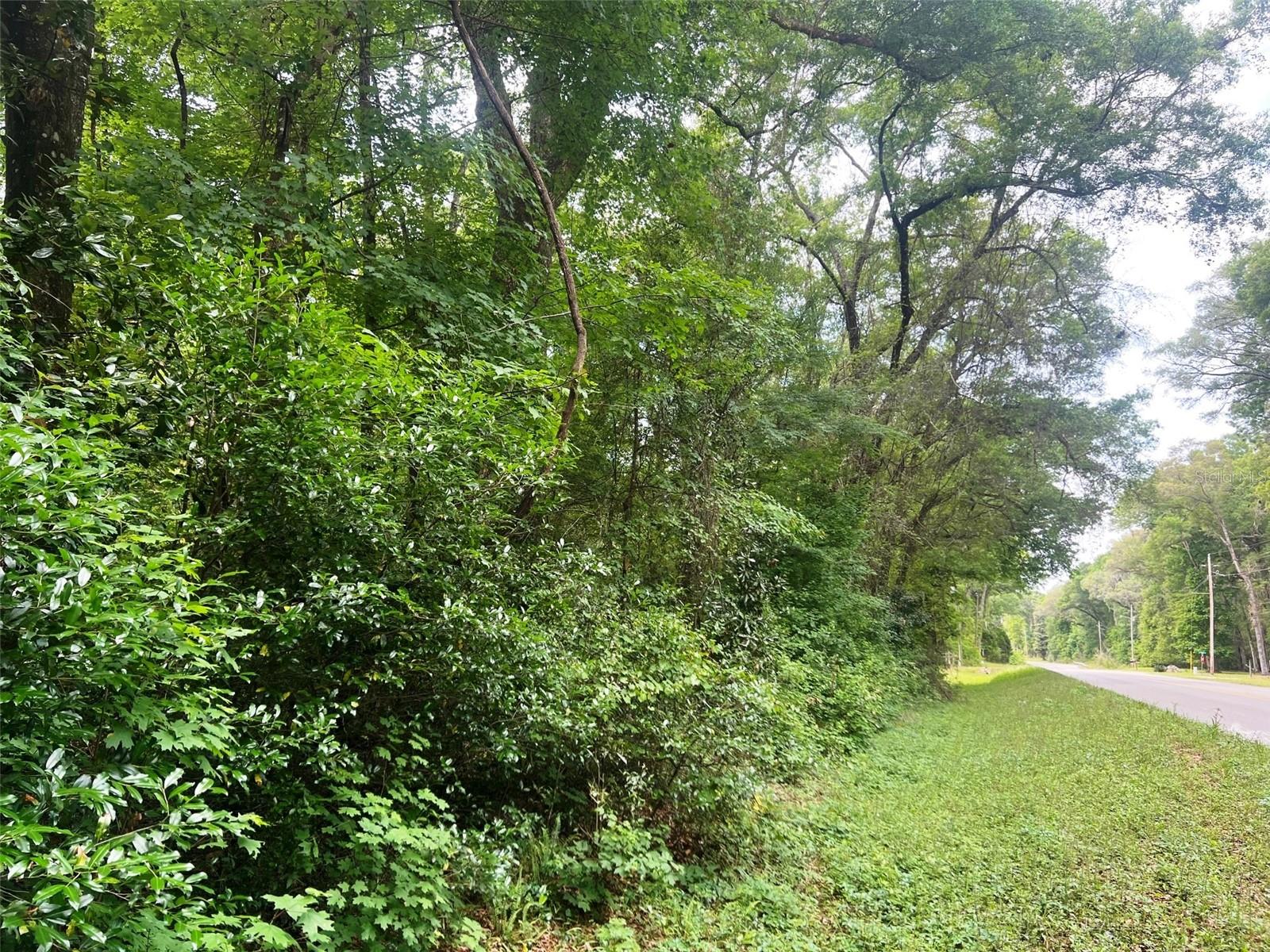 542 SW COUNTY ROAD 138