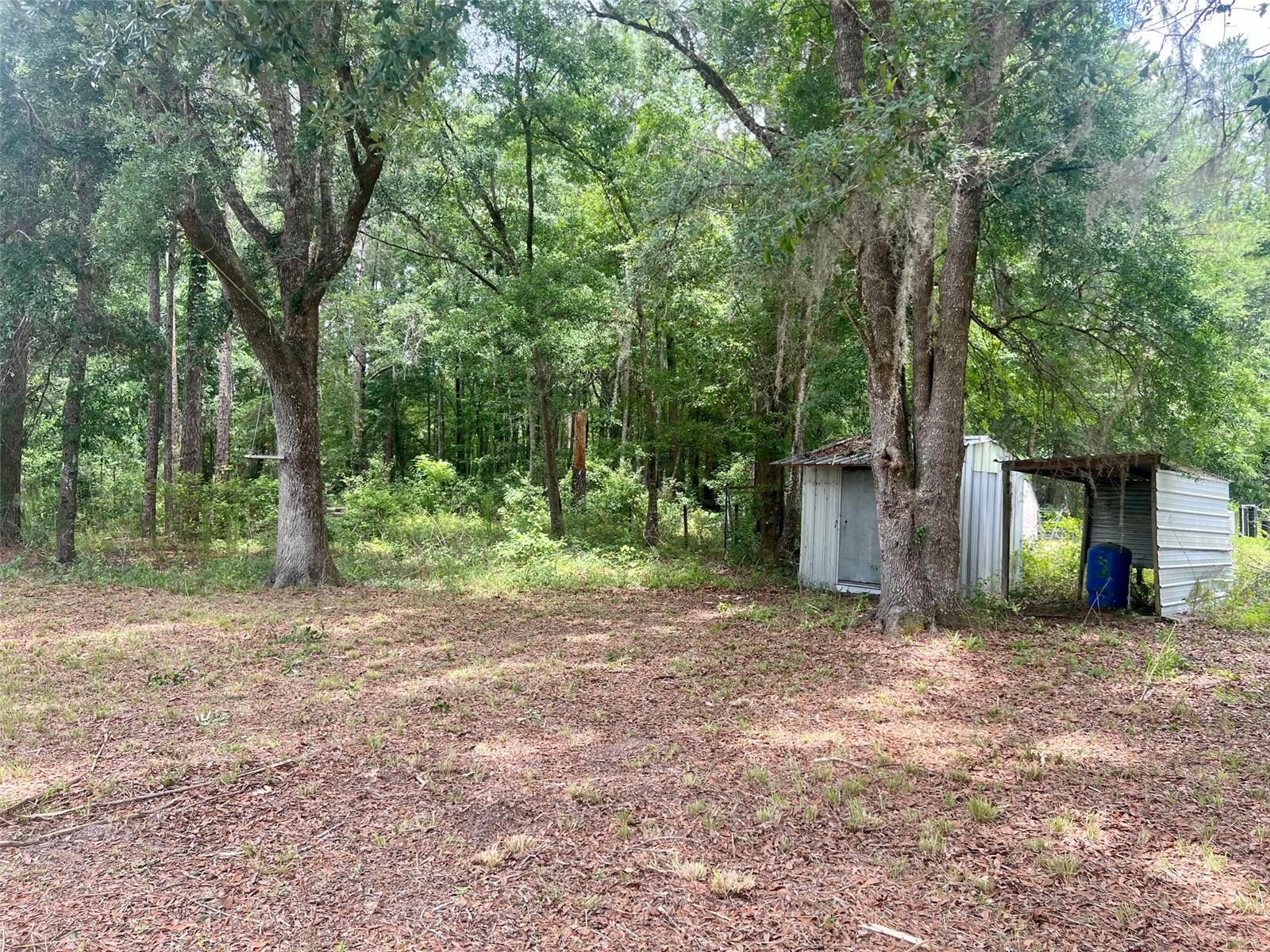 11730 NW COUNTY ROAD 231