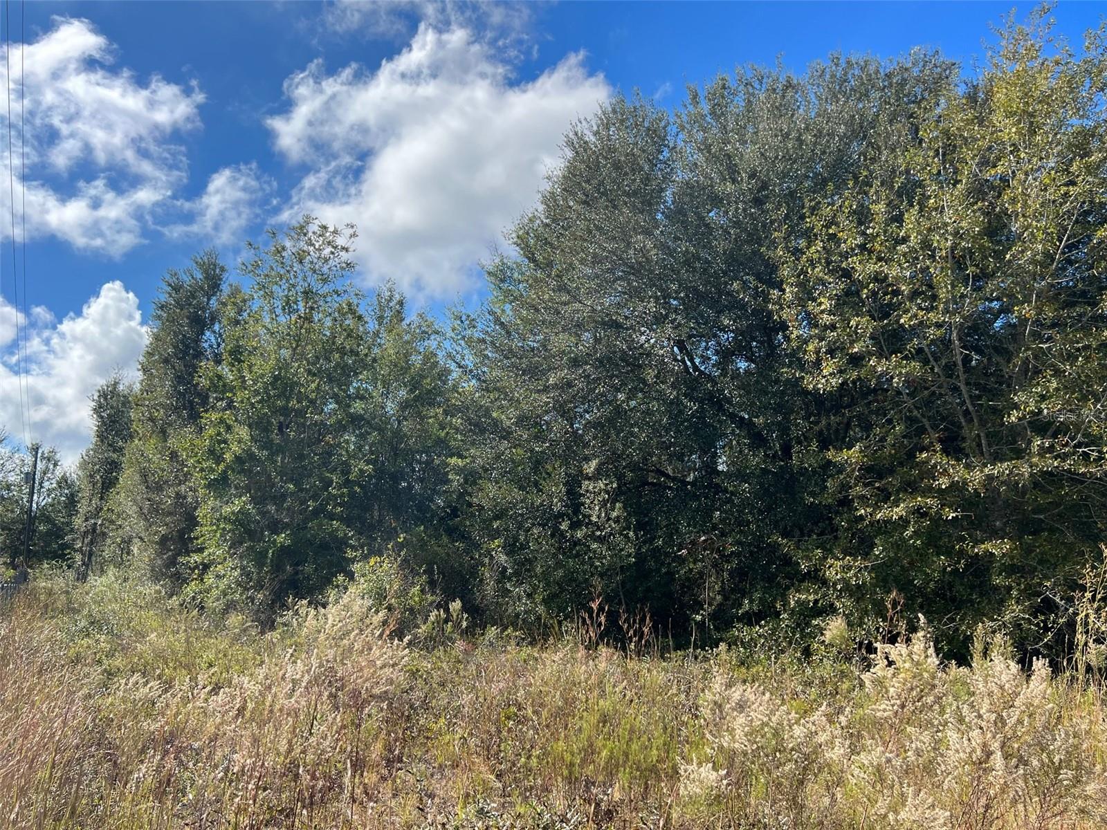 Lot 36 SW SKYLINE LOOP