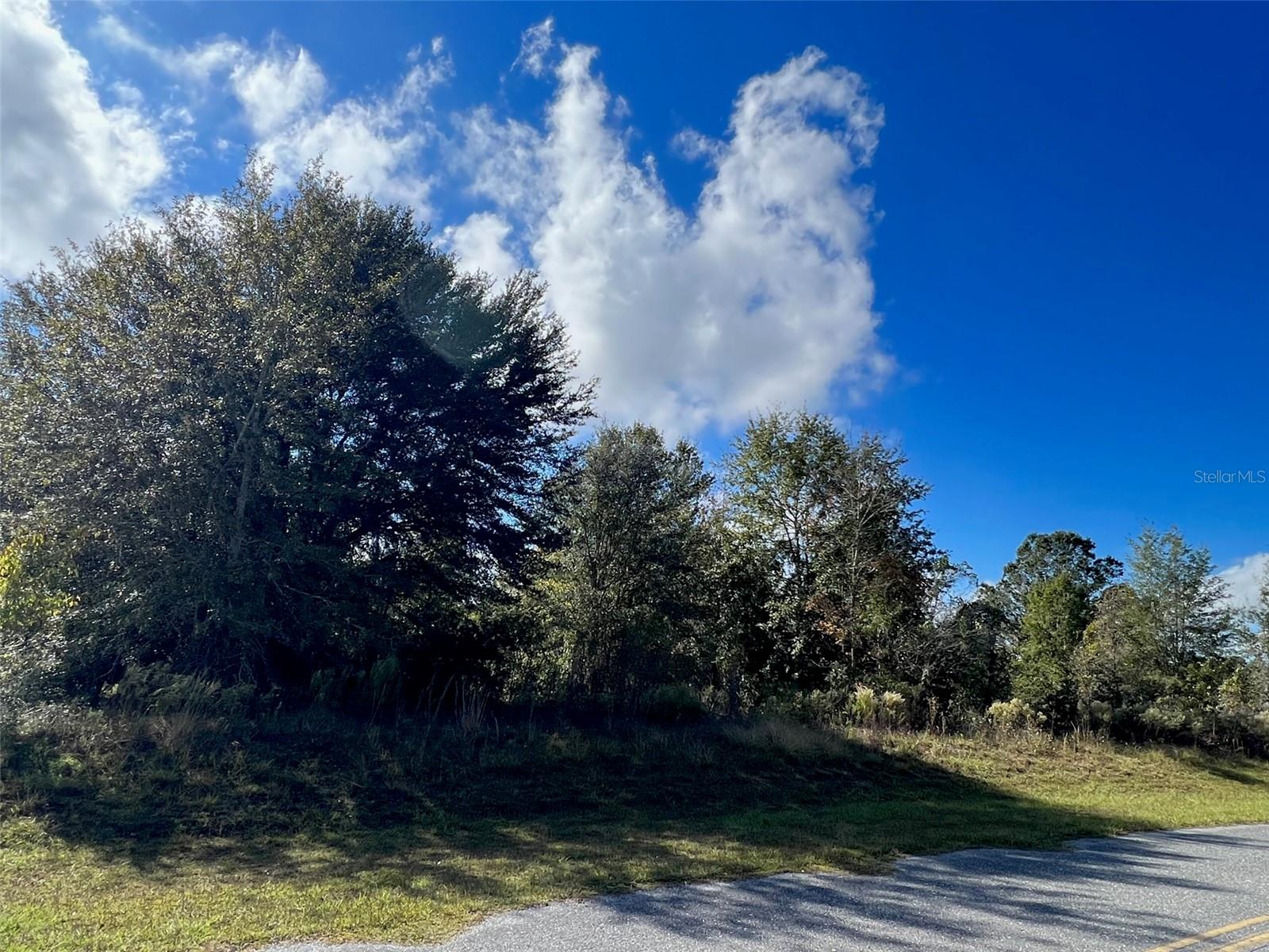 Lot 36 SW SKYLINE LOOP