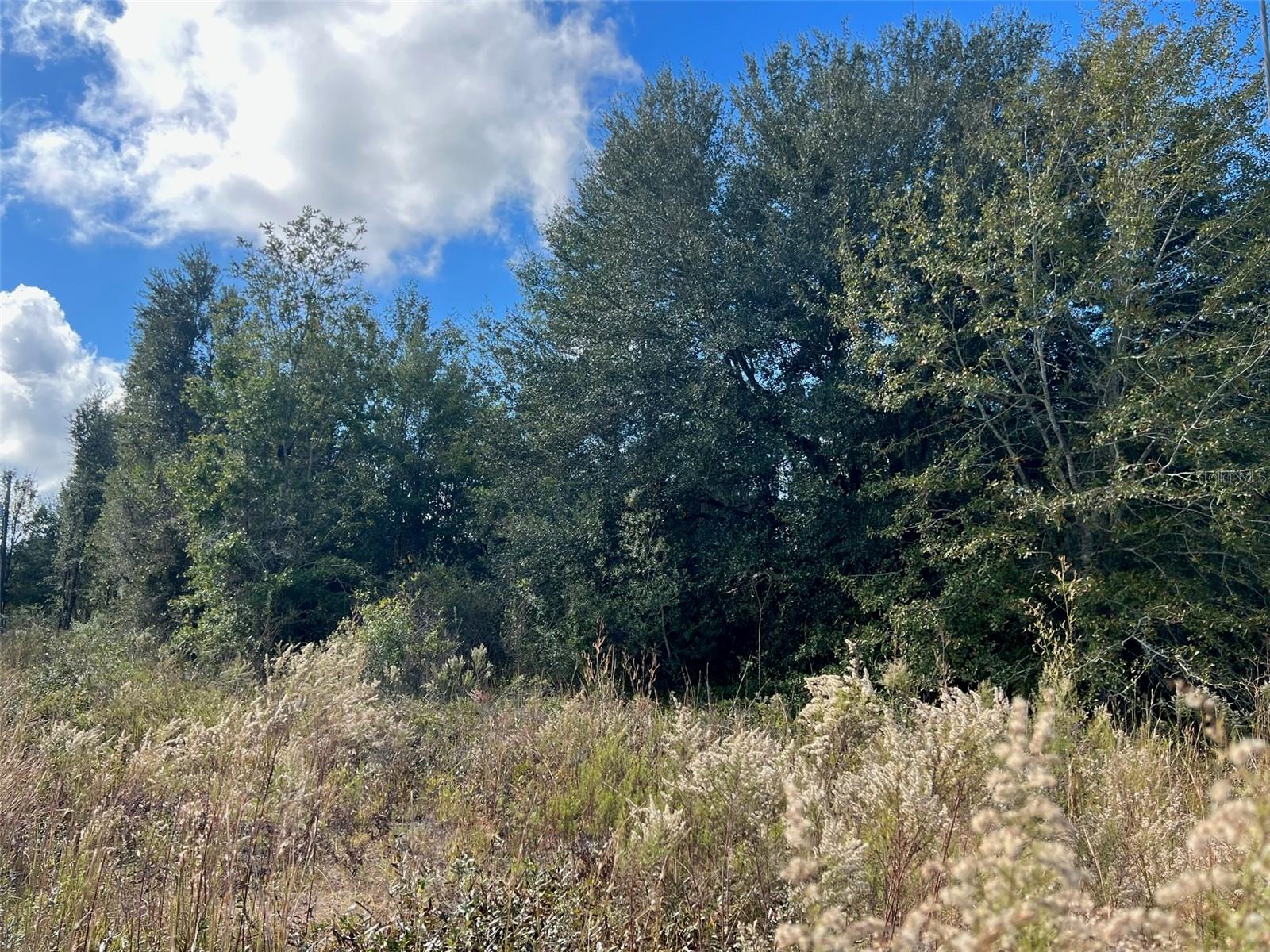 Lot 36 SW SKYLINE LOOP