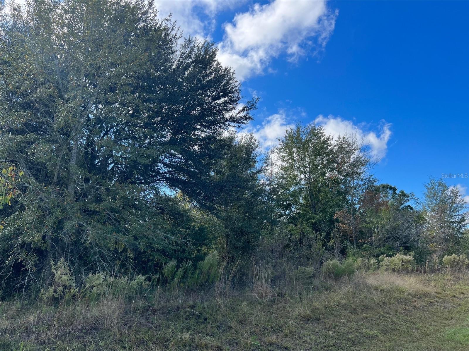 Lot 36 SW SKYLINE LOOP