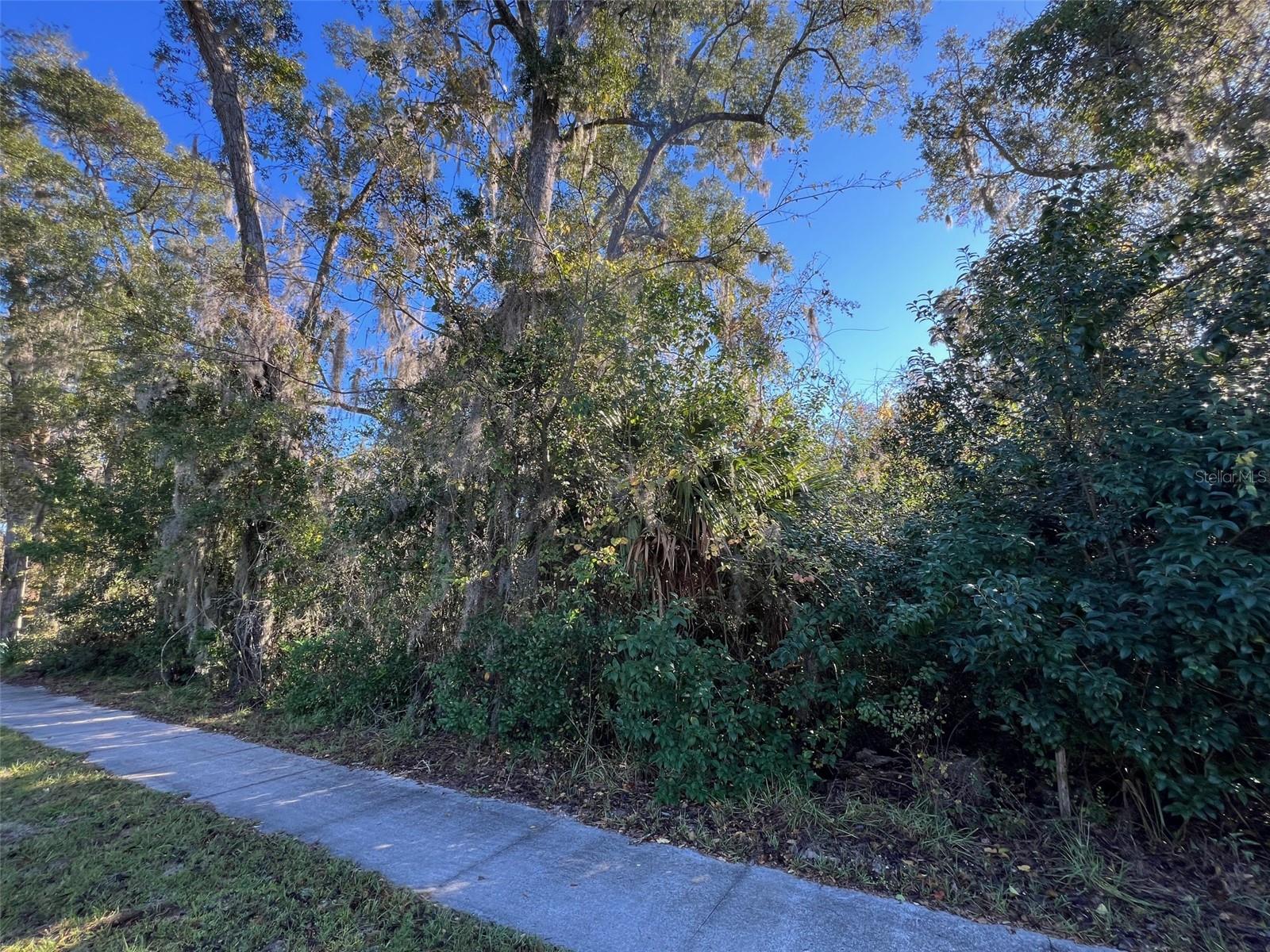 0 NW COUNTY ROAD 236