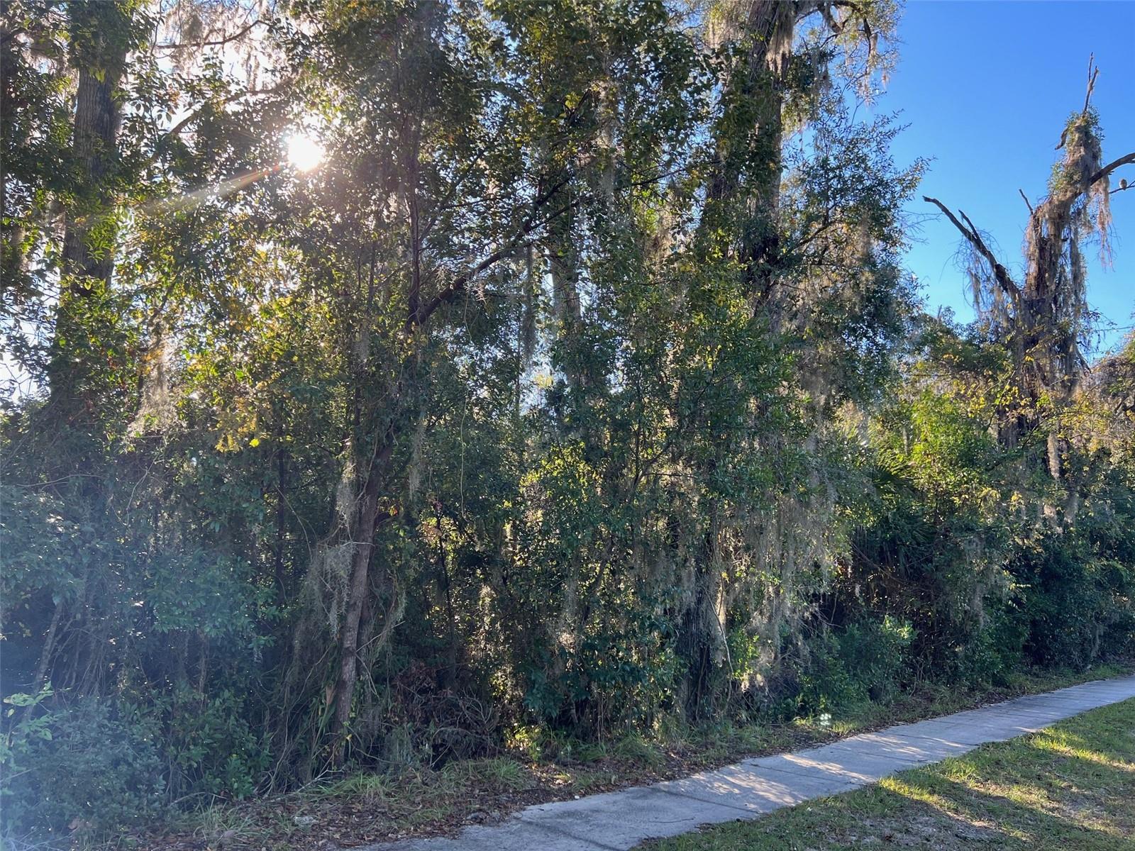 0 NW COUNTY ROAD 236