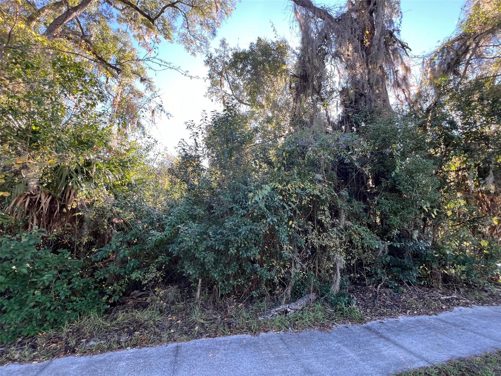 0 NW COUNTY ROAD 236