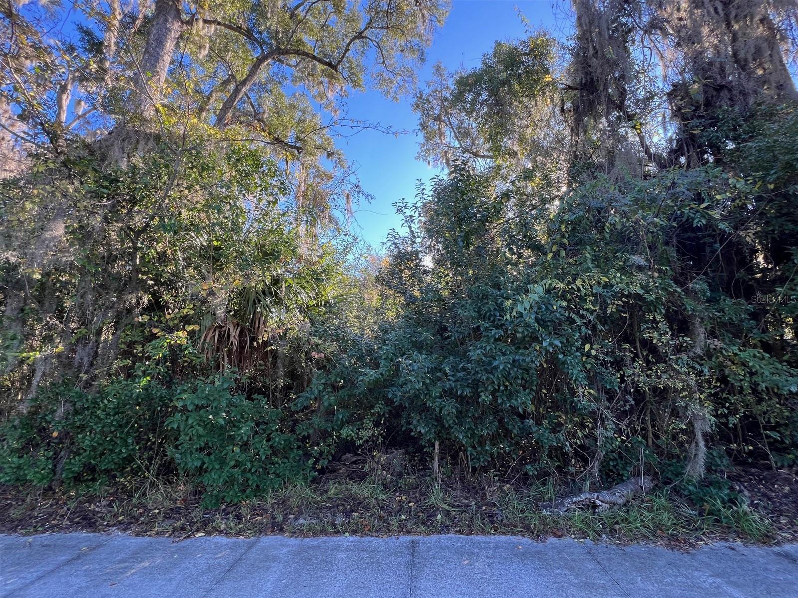 0 NW COUNTY ROAD 236