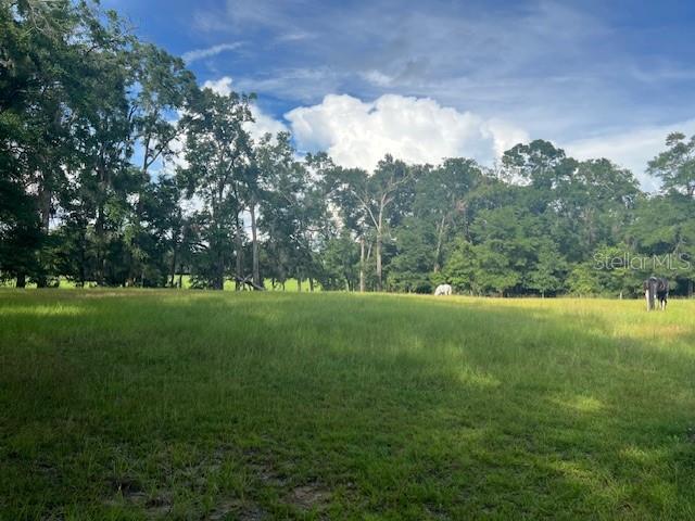 19118 NW 132ND PL