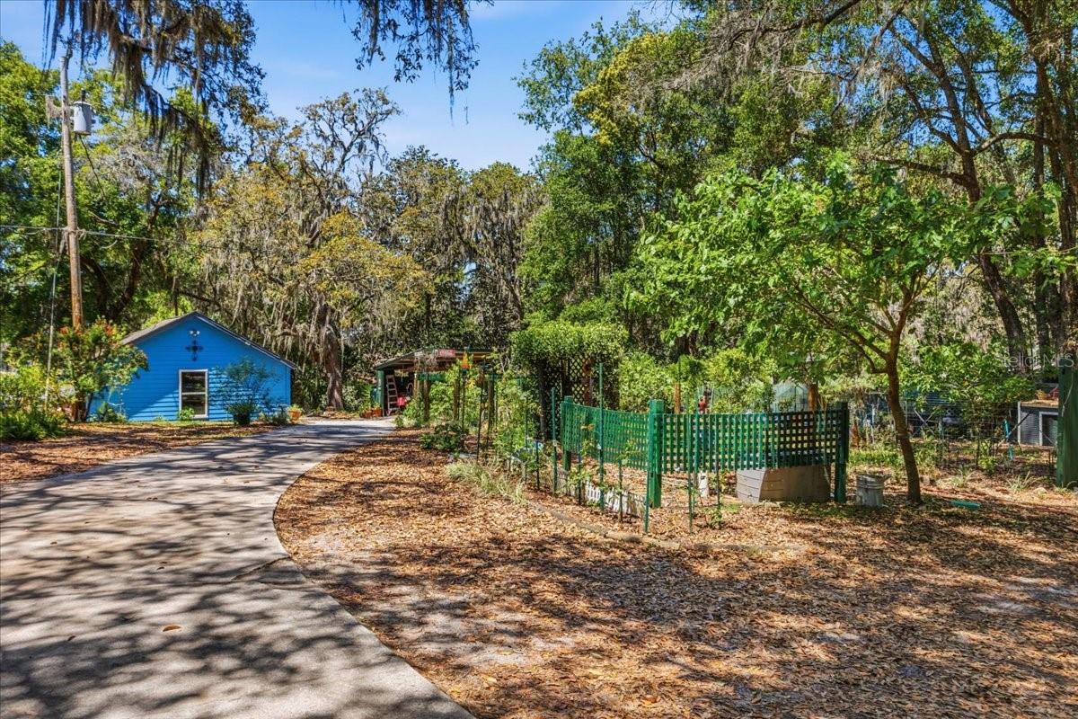 8386 AUSTIN RD