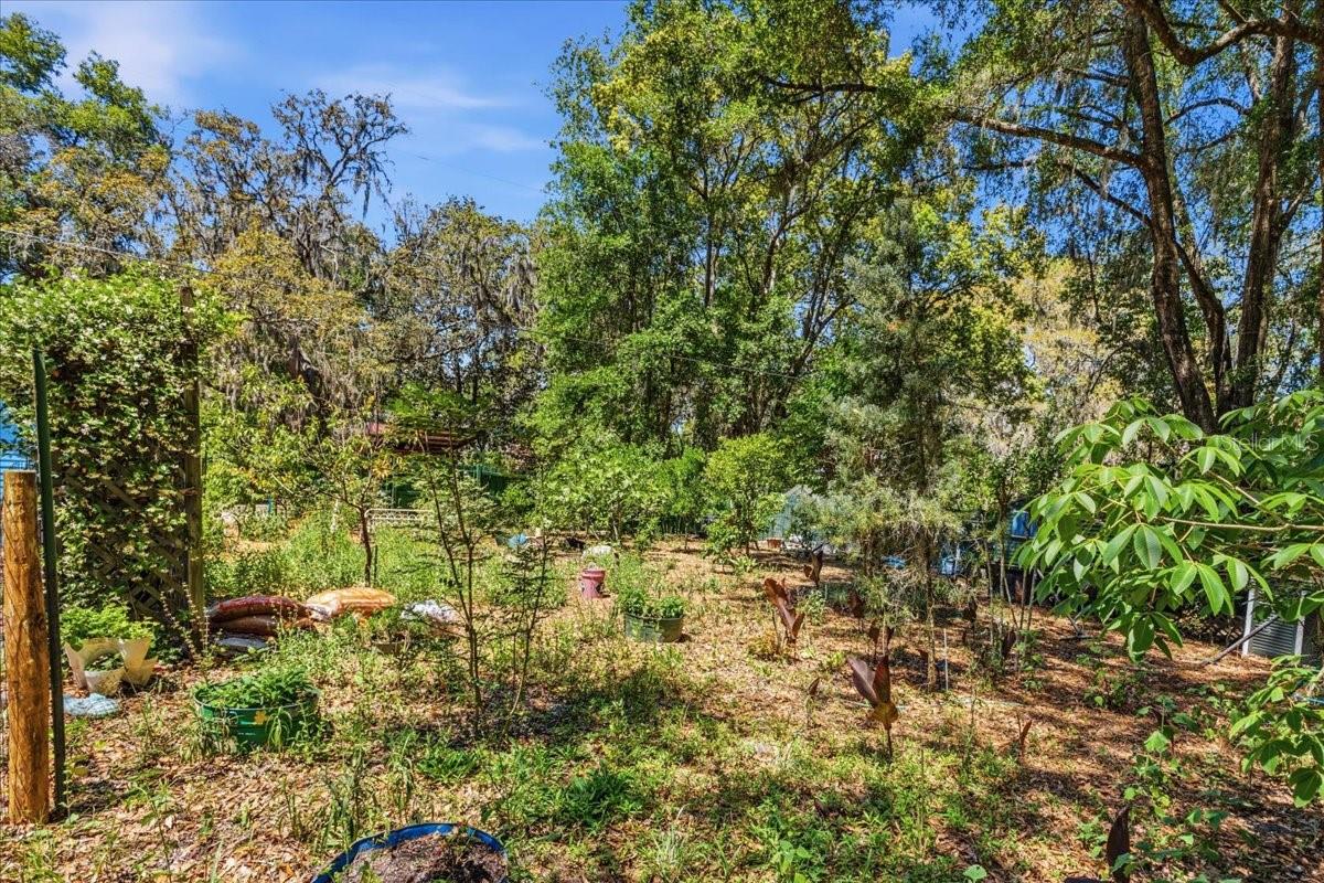 8386 AUSTIN RD