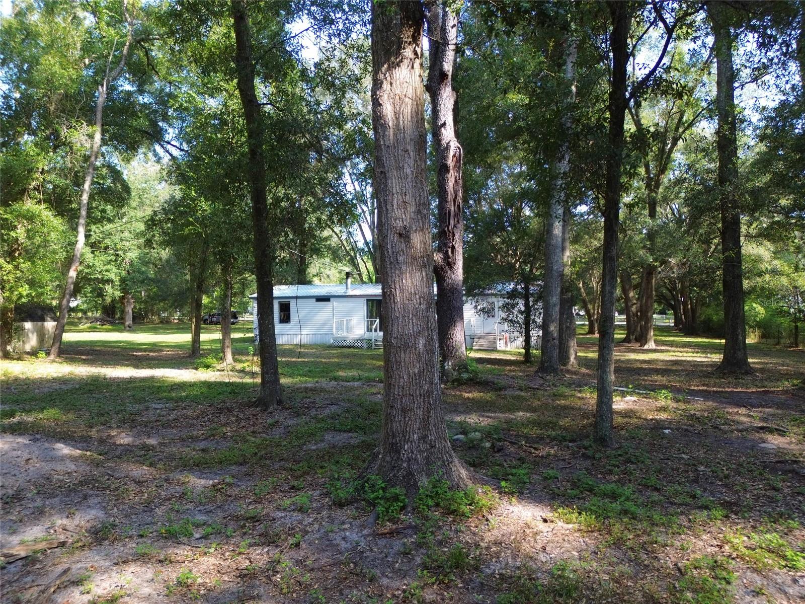 304 COLGATE LOOP