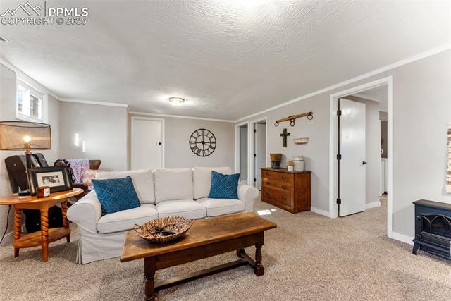 833 Crown Ridge Drive