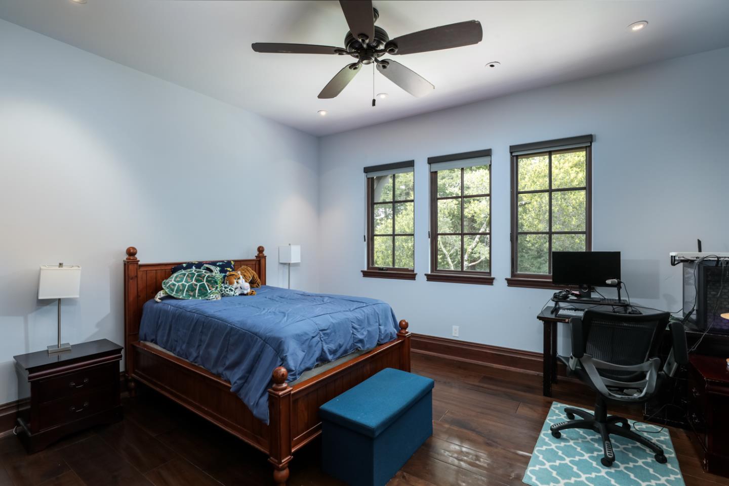 601 Lassen Park Court