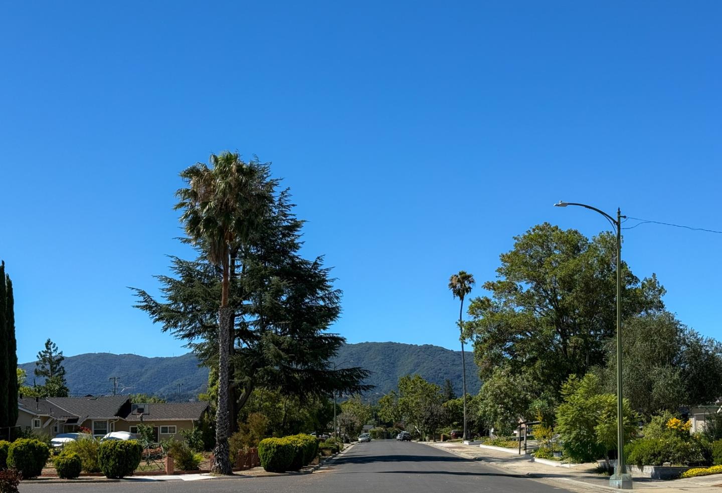 3367 Calico AVE