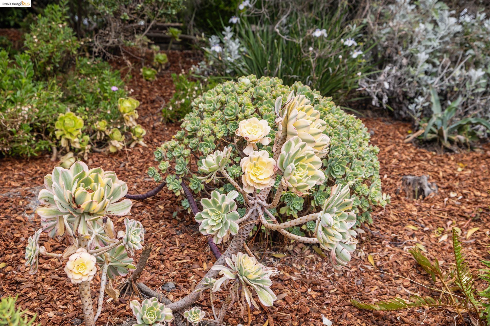 1307 Contra Costa Dr