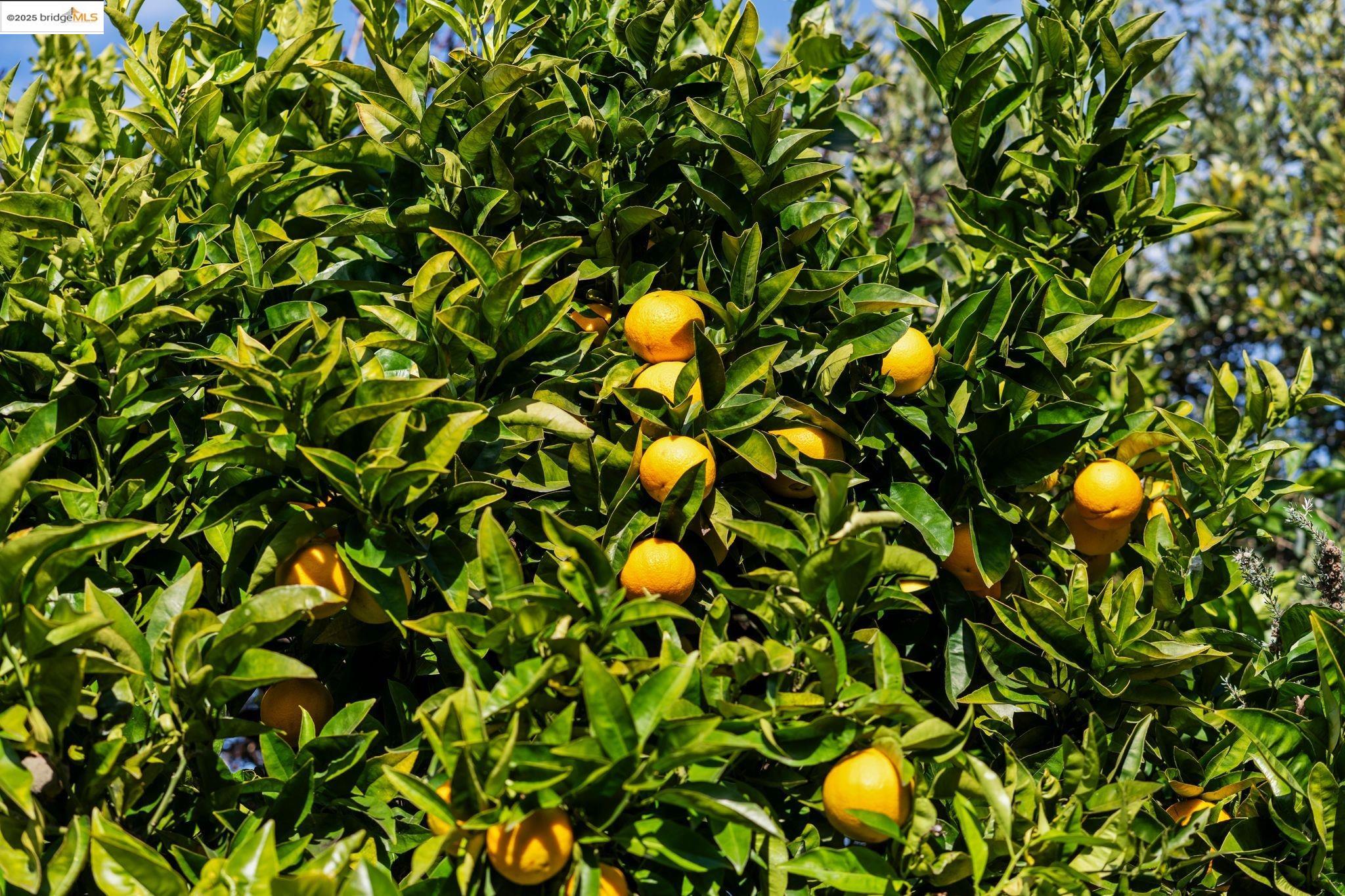 1527 Virginia Street