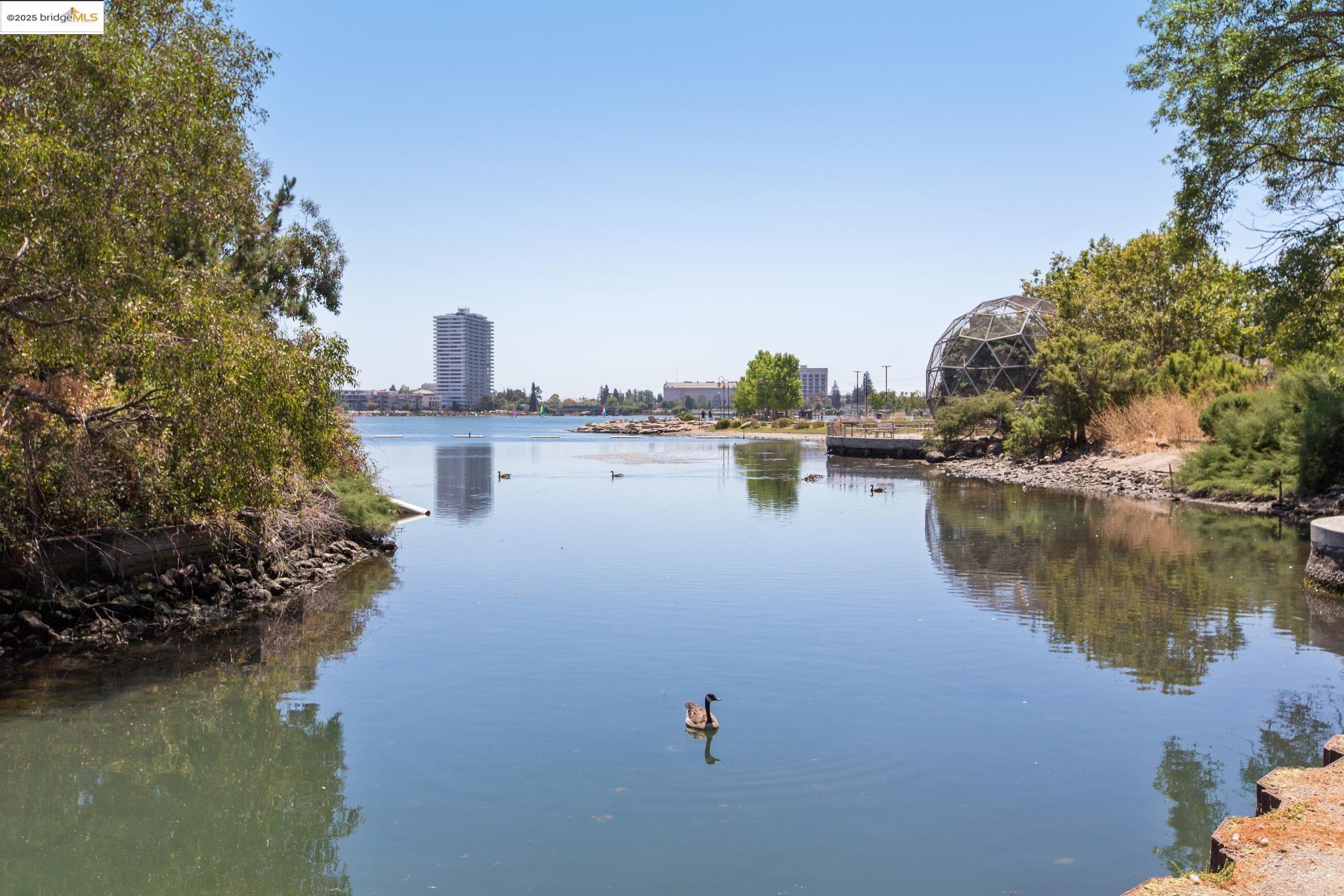 565 Bellevue Ave # 806