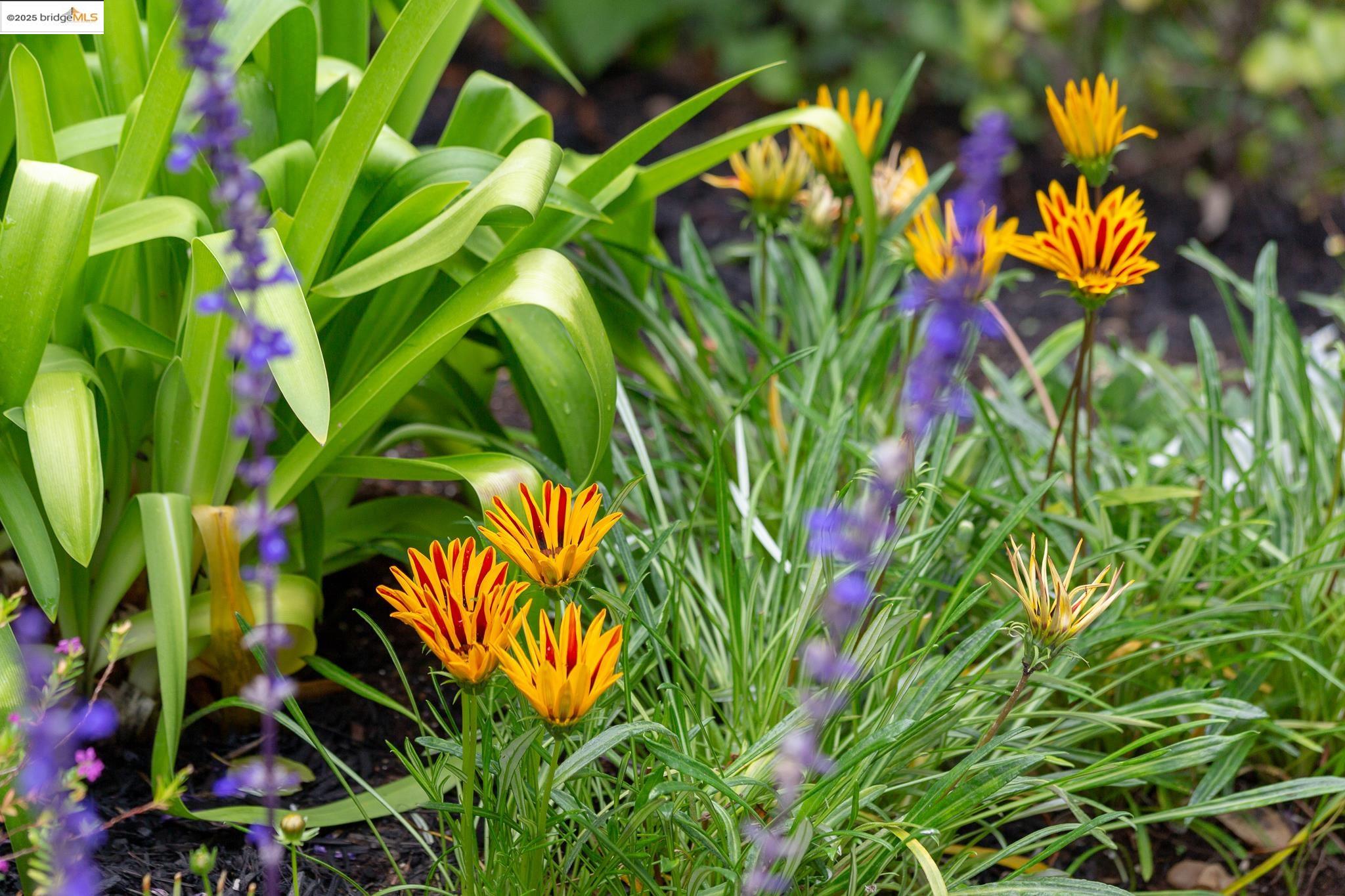 252 The Uplands, Berkeley