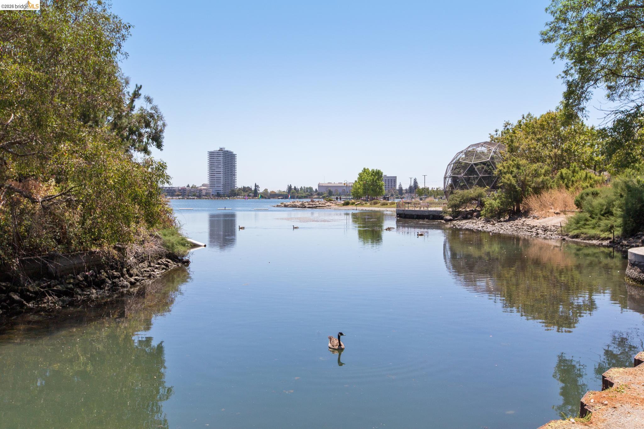 565 Bellevue Ave # 806