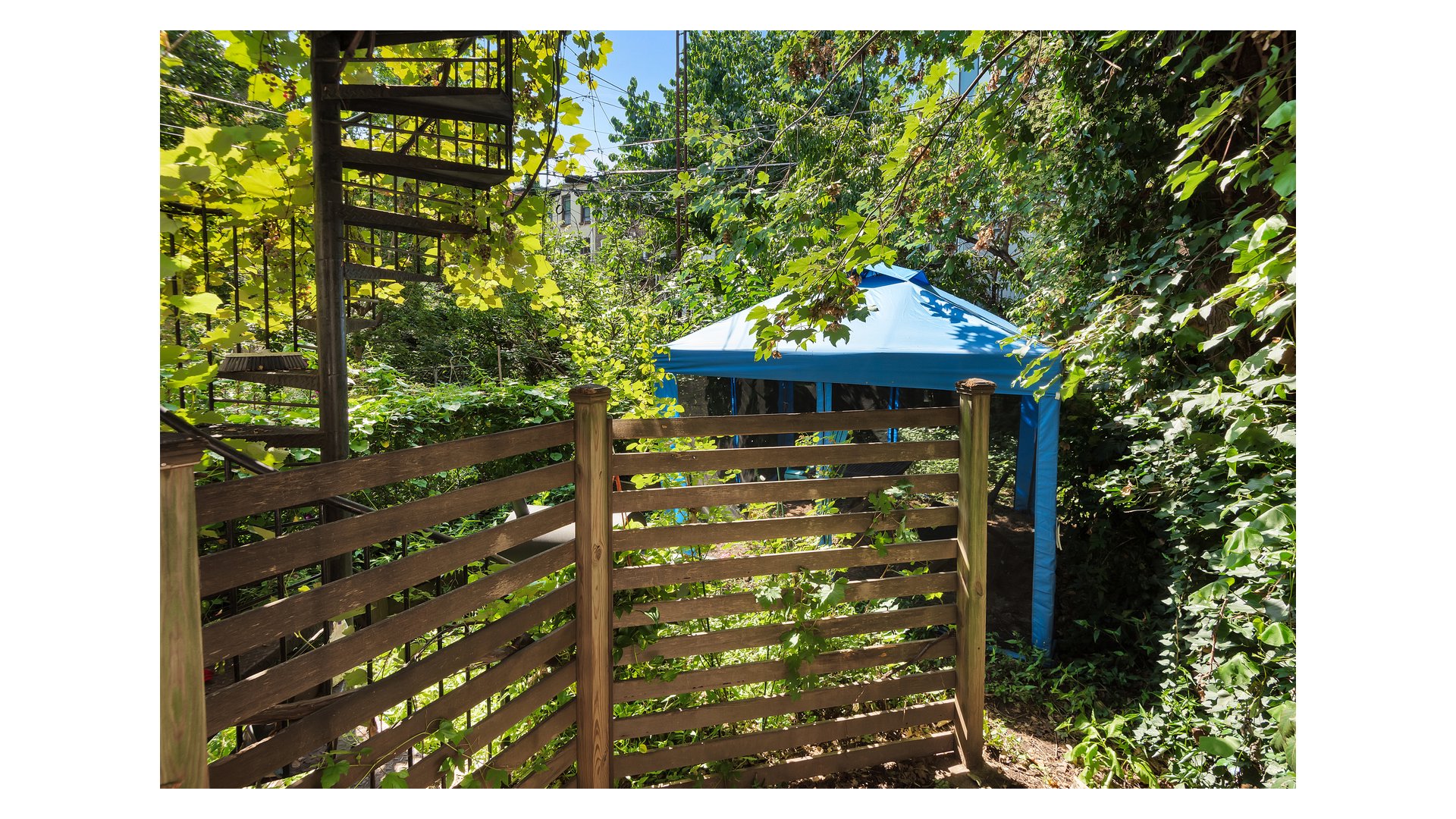 Lush backyard garden with a wooden fence and blue canopy beneath dense foliage.