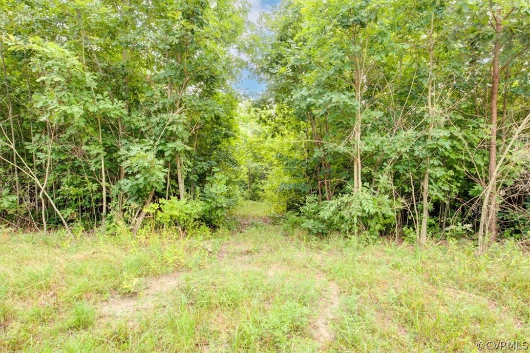 20.6 Acres Johnson Rd