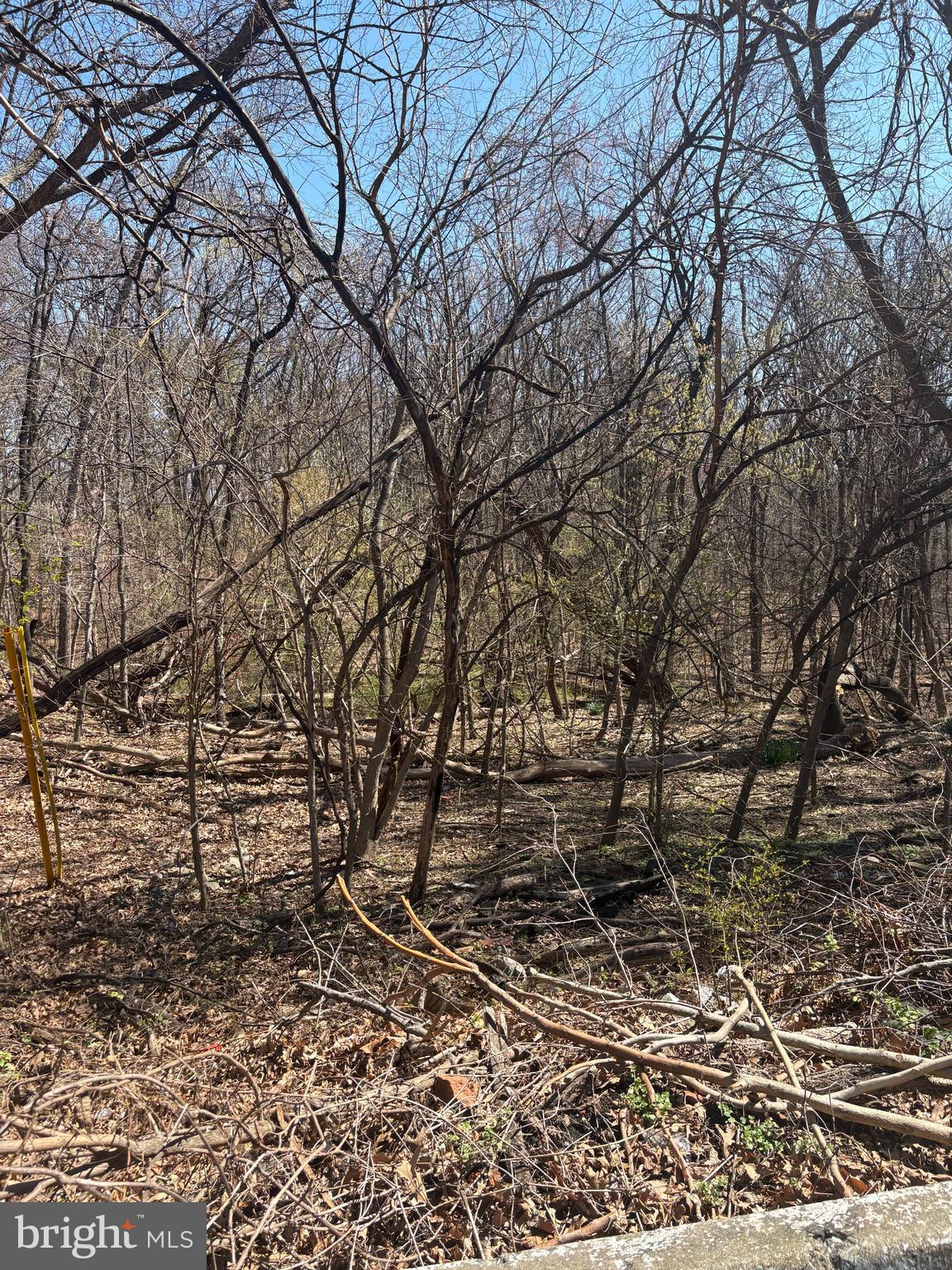 GAINESVILLE STREET SE