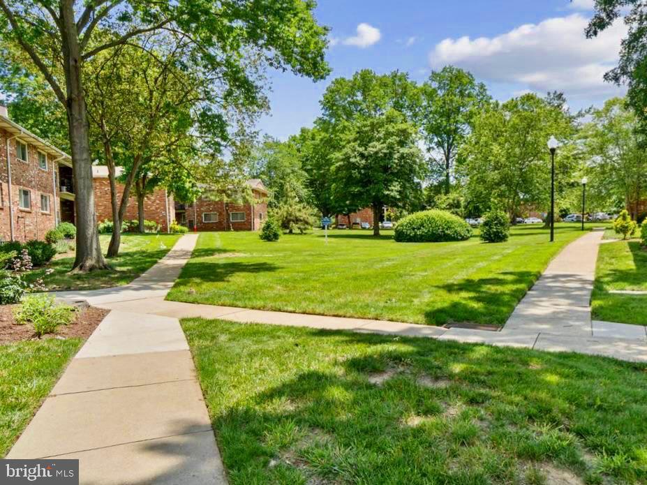 203-C Victor Pkwy #203c