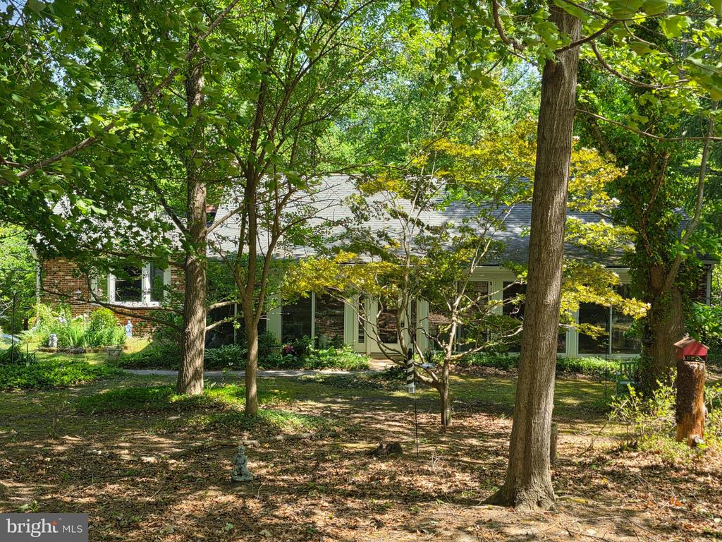 2551 REDBUD LANE